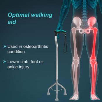 Walking stick Tripod L-32 dassurgicals